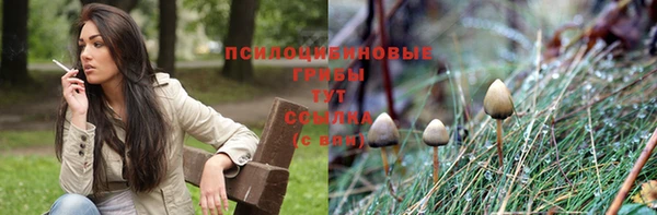 молекула духа Краснотурьинск