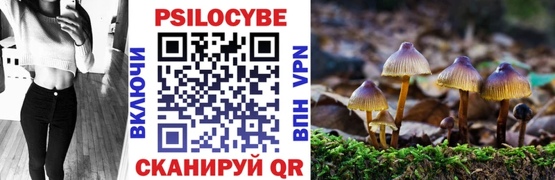 Псилоцибиновые грибы прущие грибы  Купить где  Волосово 